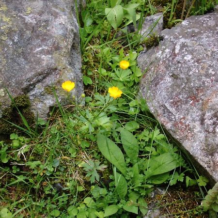 Landhaus Tirol Zellberg Dış mekan fotoğraf
