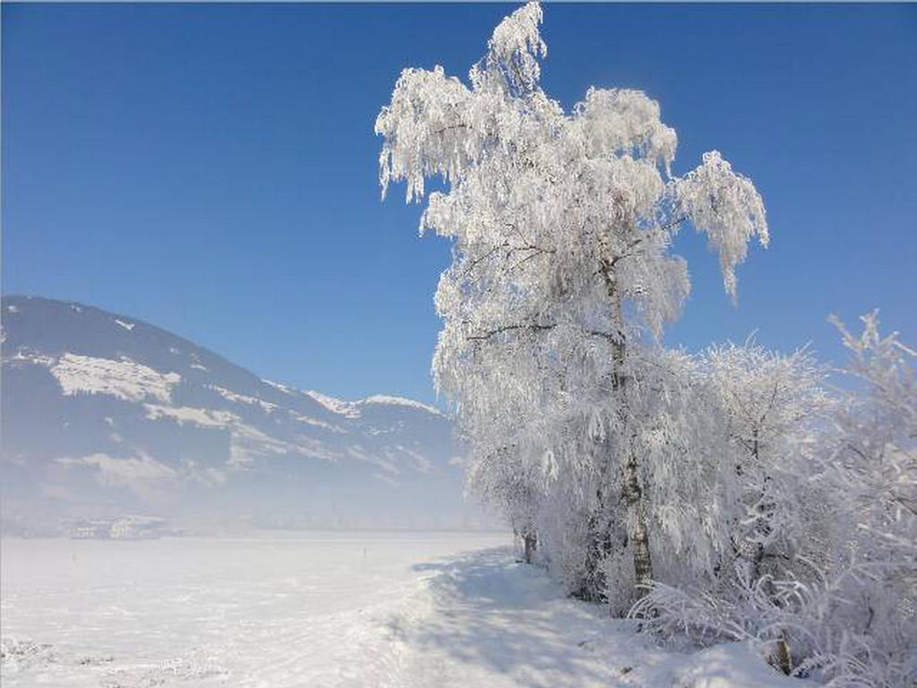 Landhaus Tirol Zellberg Dış mekan fotoğraf
