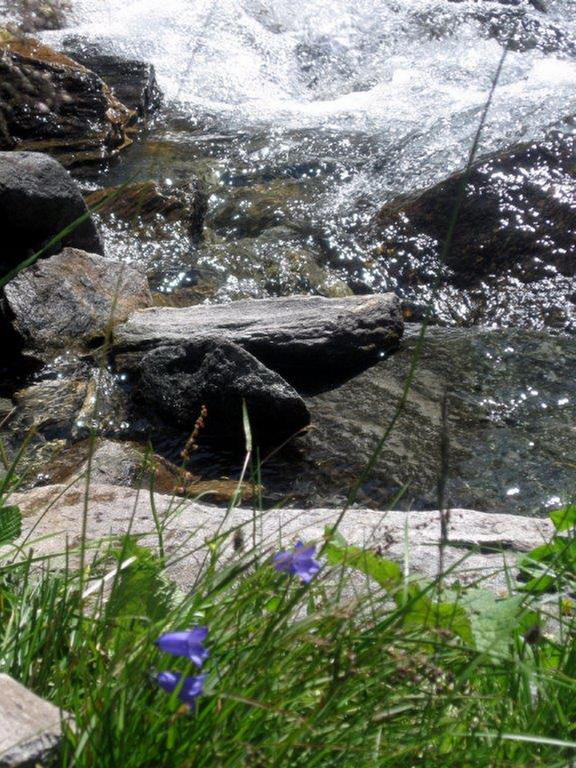 Landhaus Tirol Zellberg Dış mekan fotoğraf